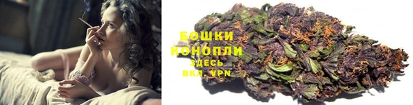 прущие крисы Белокуриха