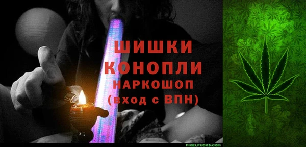 прущие крисы Белокуриха