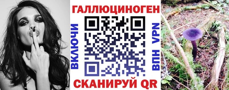 Галлюциногенные грибы мицелий  hydra зеркало  Пикалёво 
